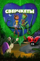 Сверчкети